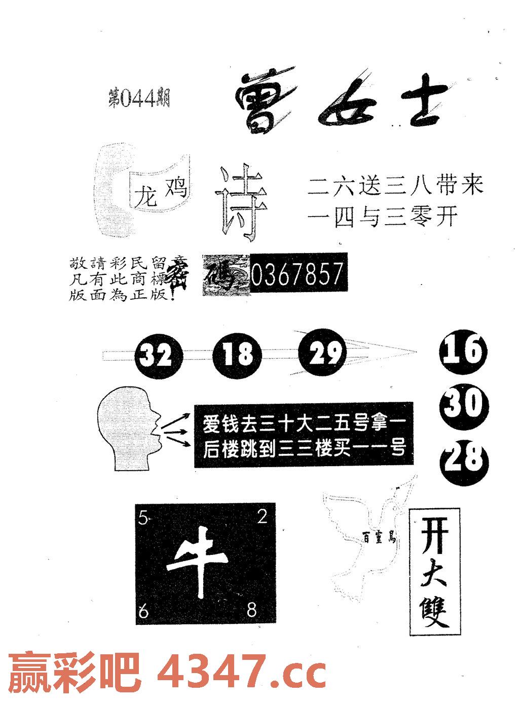 图片载入中...