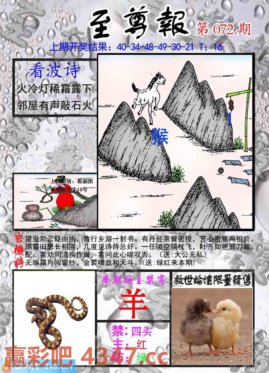 图片载入中...