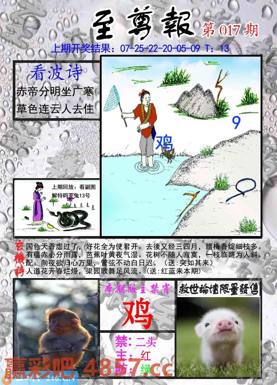 图片载入中...