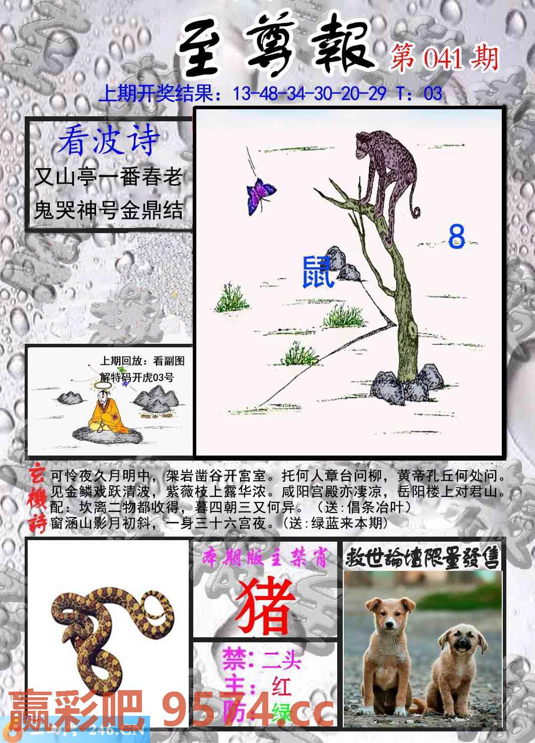 图片载入中...