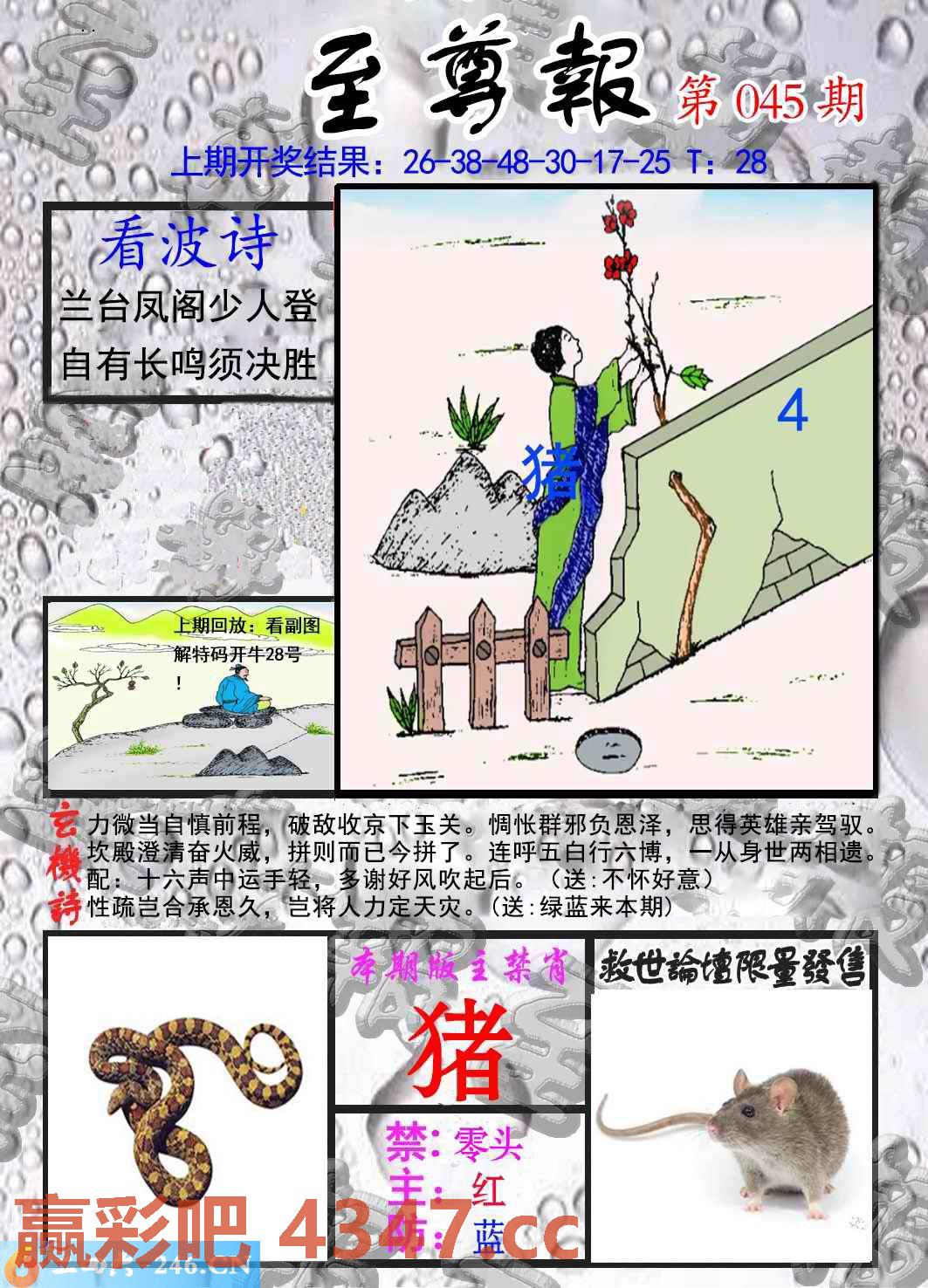 图片载入中...
