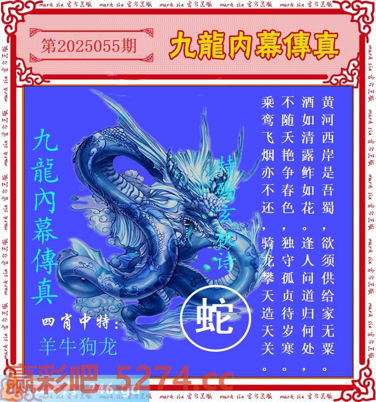 055期：九龙内幕失真