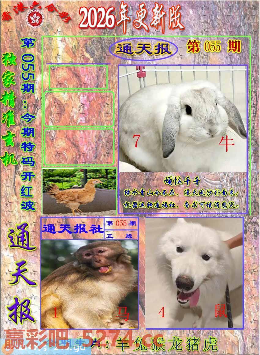 图片载入中...