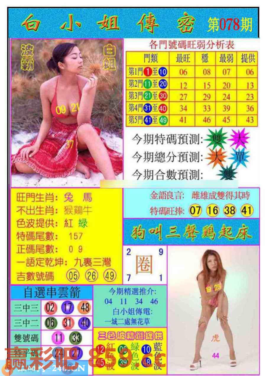 图片载入中...