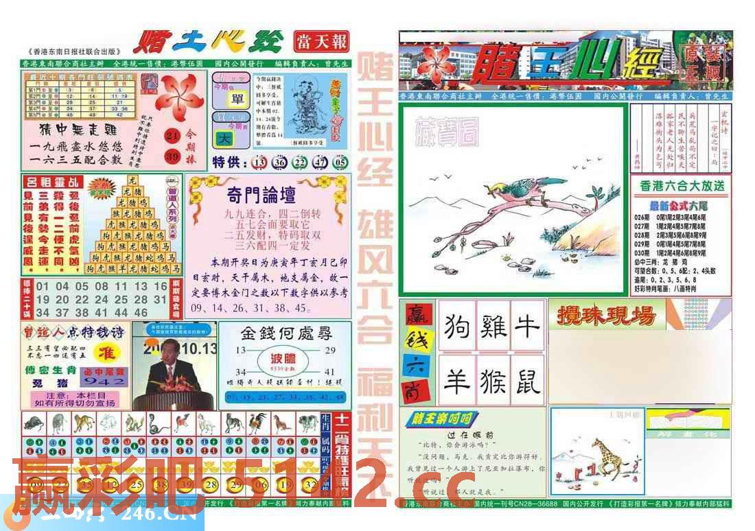 图片载入中...