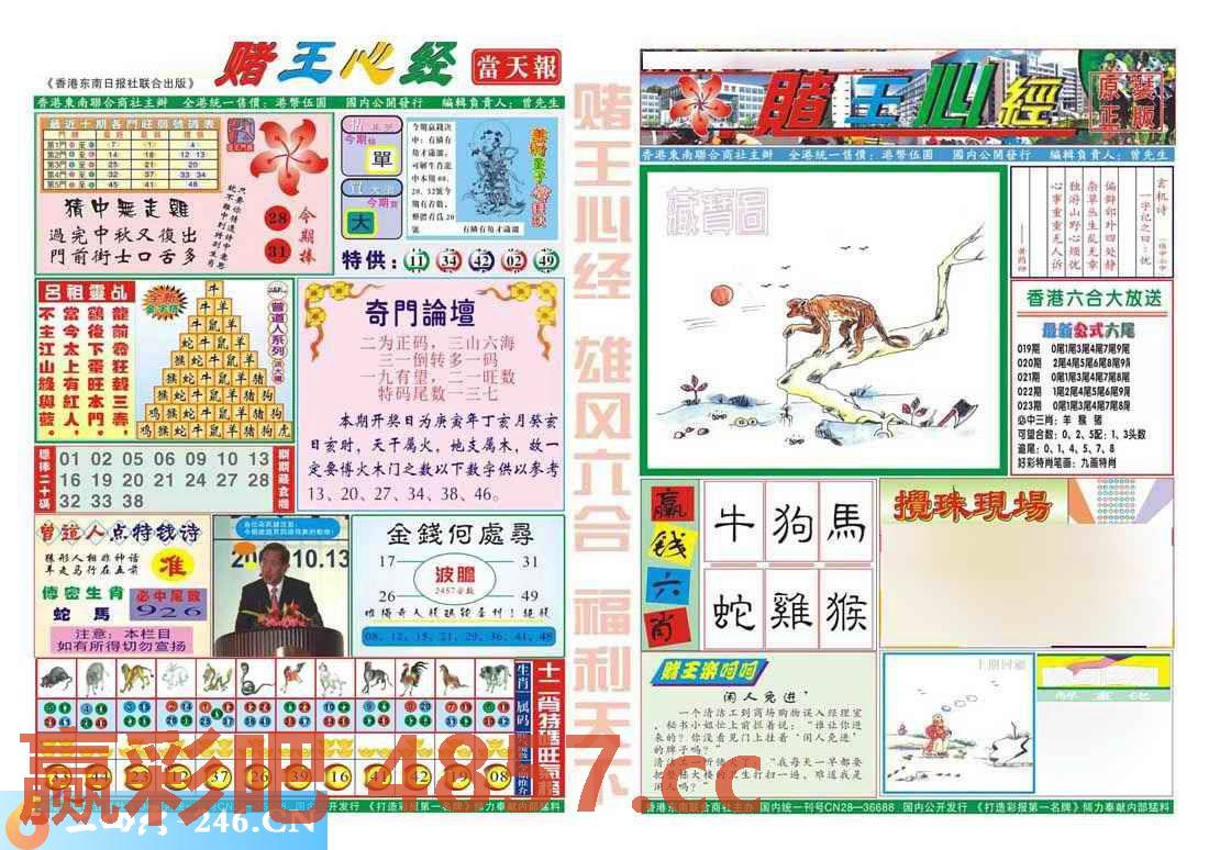 图片载入中...