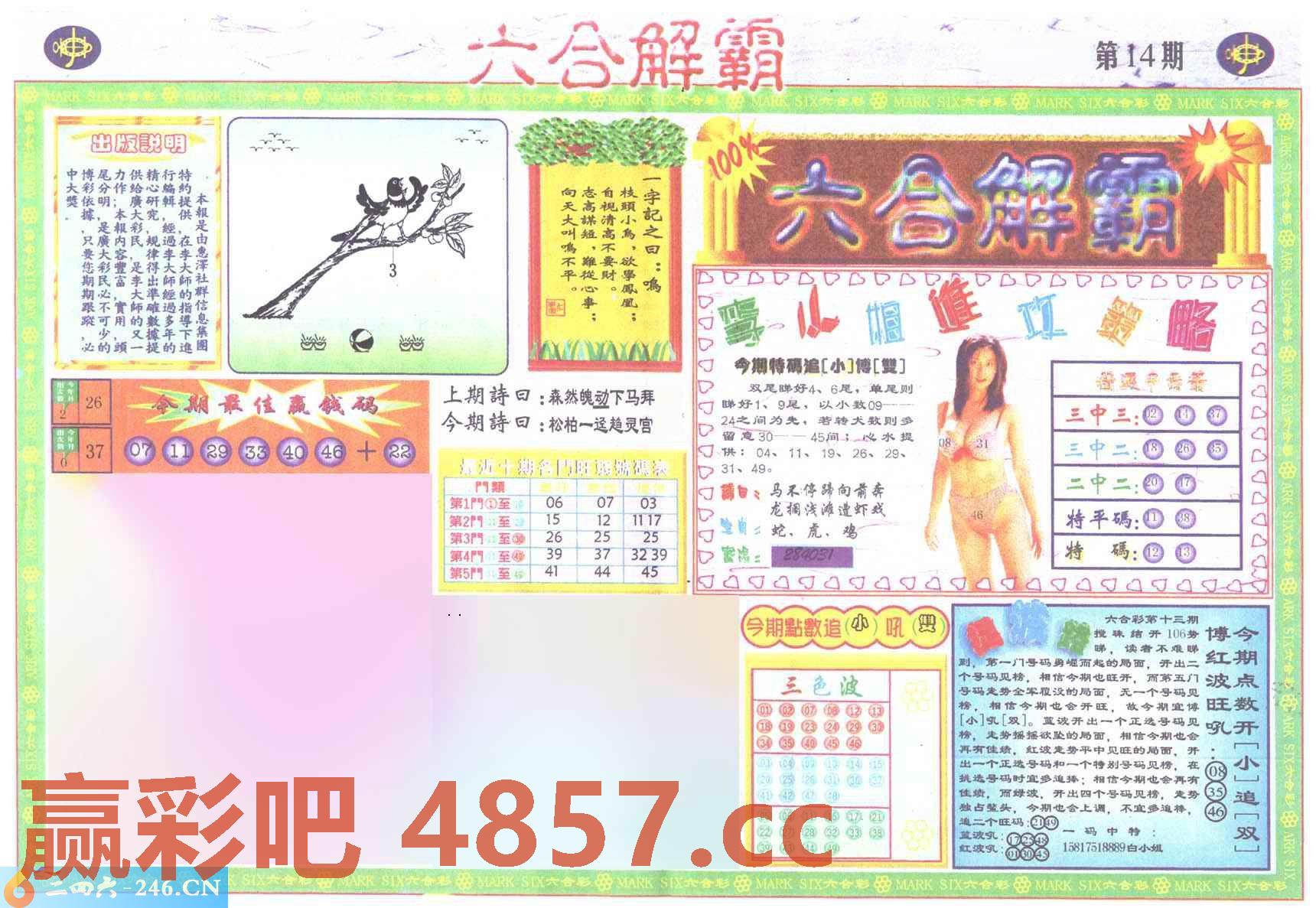 图片载入中...