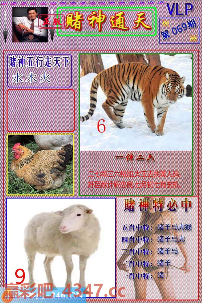 图片载入中...