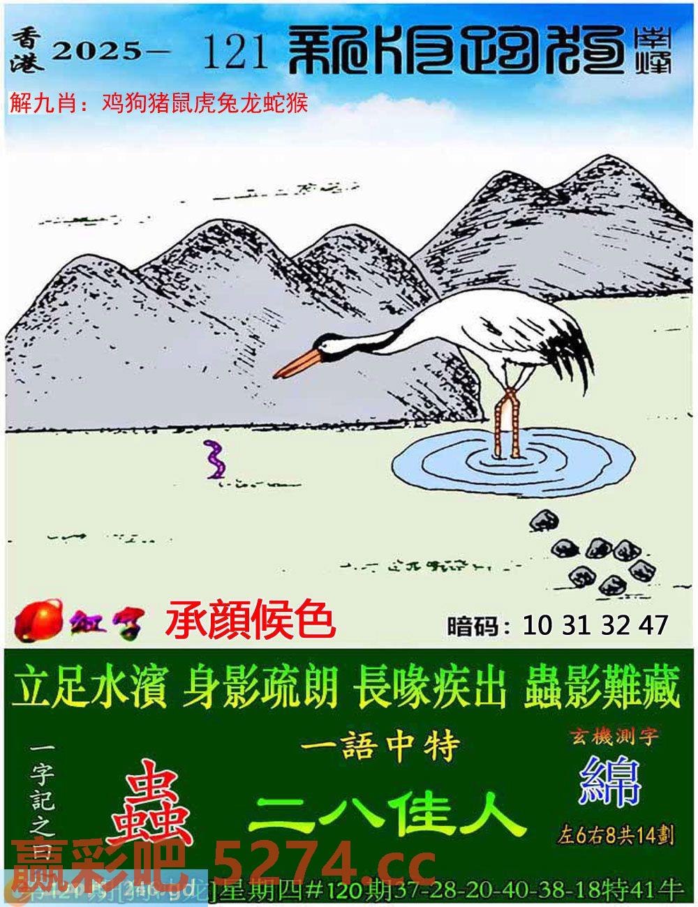 图片载入中...