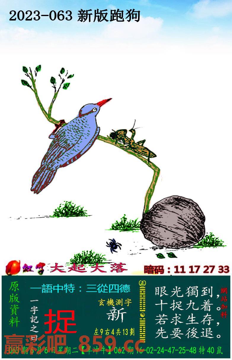 图片载入中...