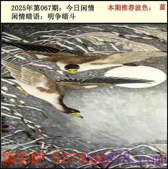 图片载入中...