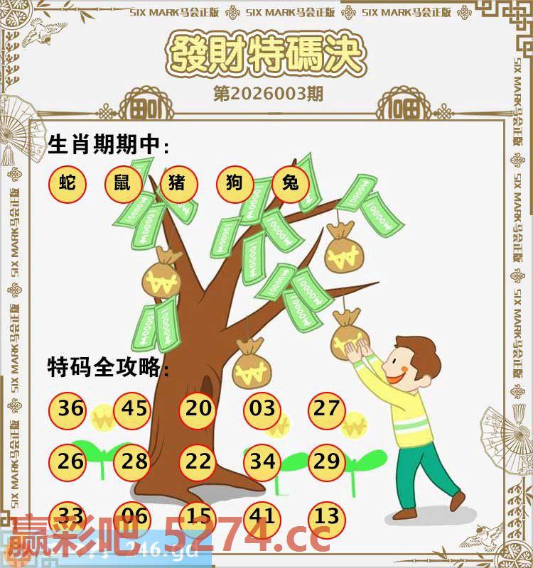 003期：发财特码决